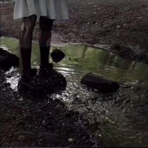 Meet your Posher, Bee